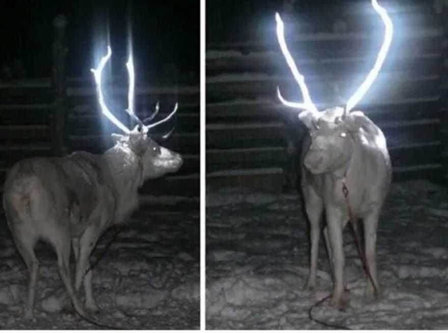 Светоотражающий порошок