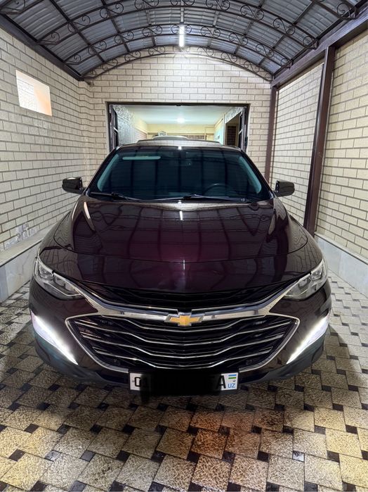 Malibu 2. PREMIER. Bozorchila qimasin