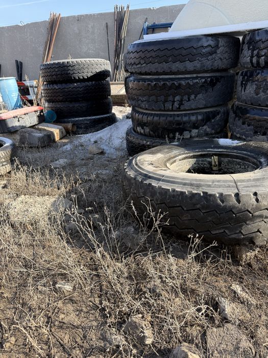 Резина на шахман хова