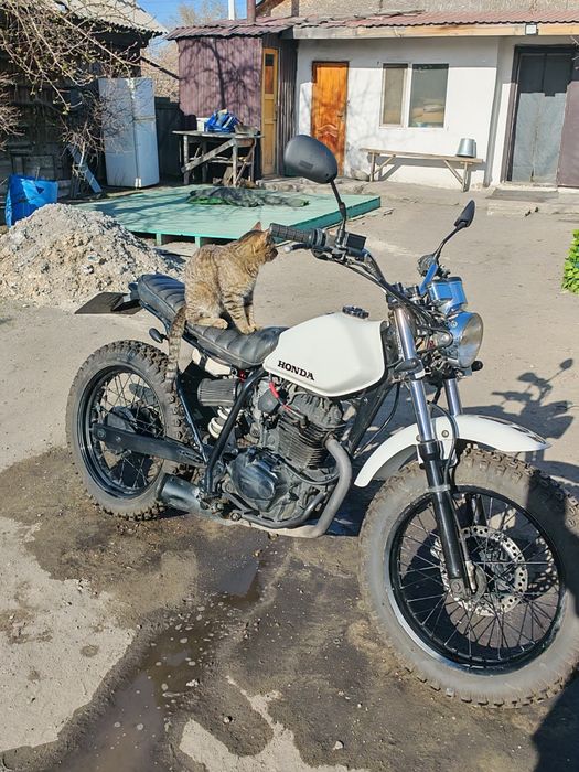 Honda FTR 223, Scrambler