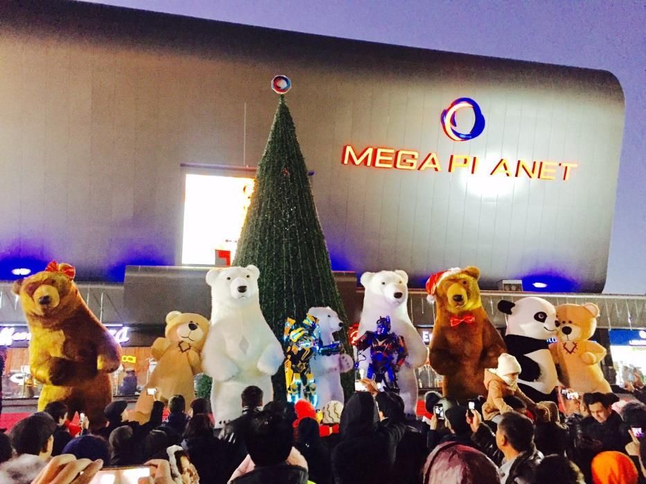 Madagascar - katta ayiq va pandalar