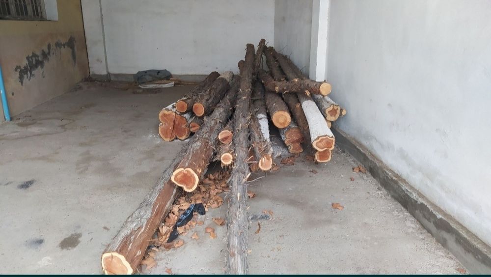 Кругляк продается