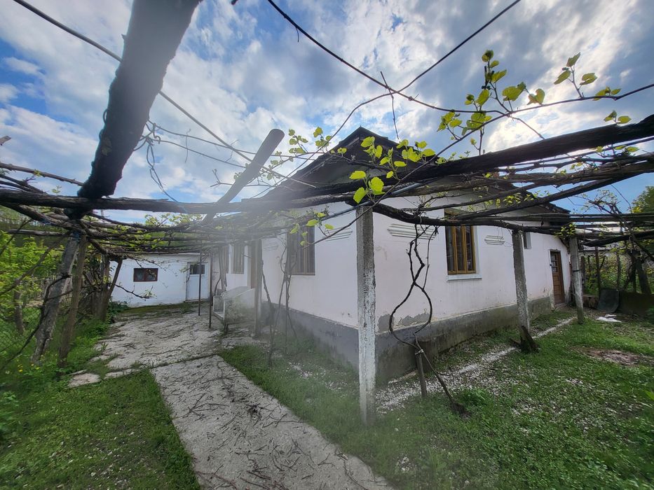 2 Case, Curte cu Vie și Pătul/Fânărie -Veaca