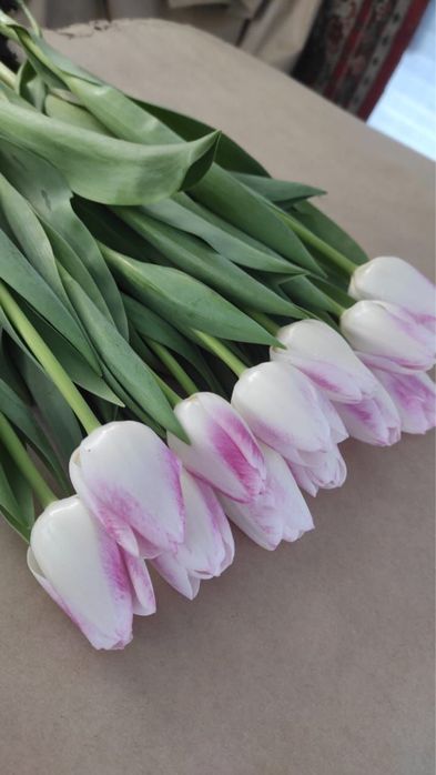 Тюльпаны жезгазган рефрижератор