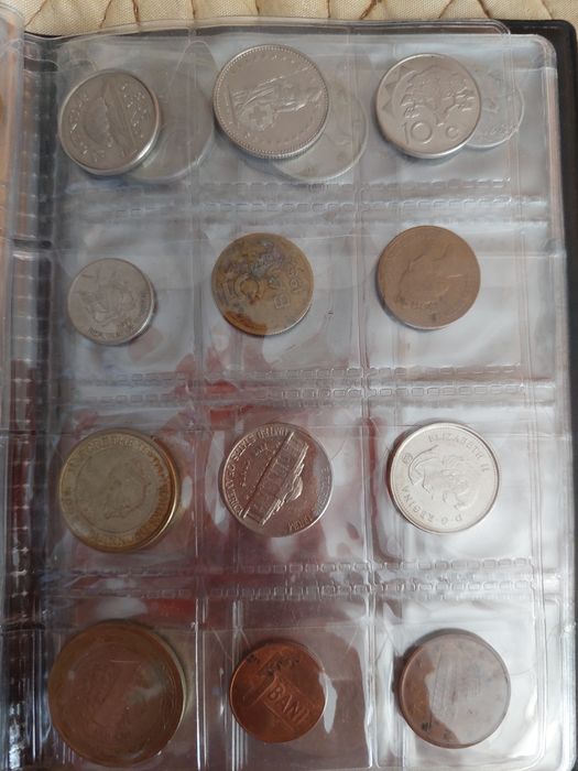 Albume cu monede