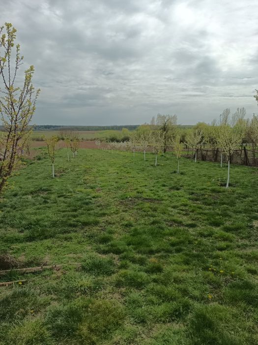 Casă la țară de vânzare