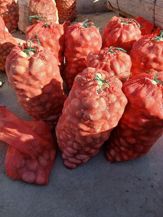 Продам картошку . Семенную