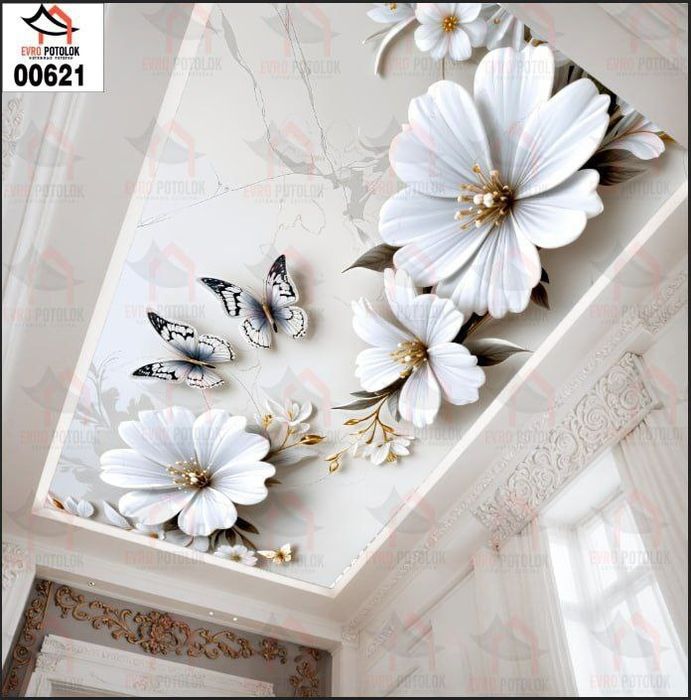 Orginal sifatli hamyonbob natajnoy patalog