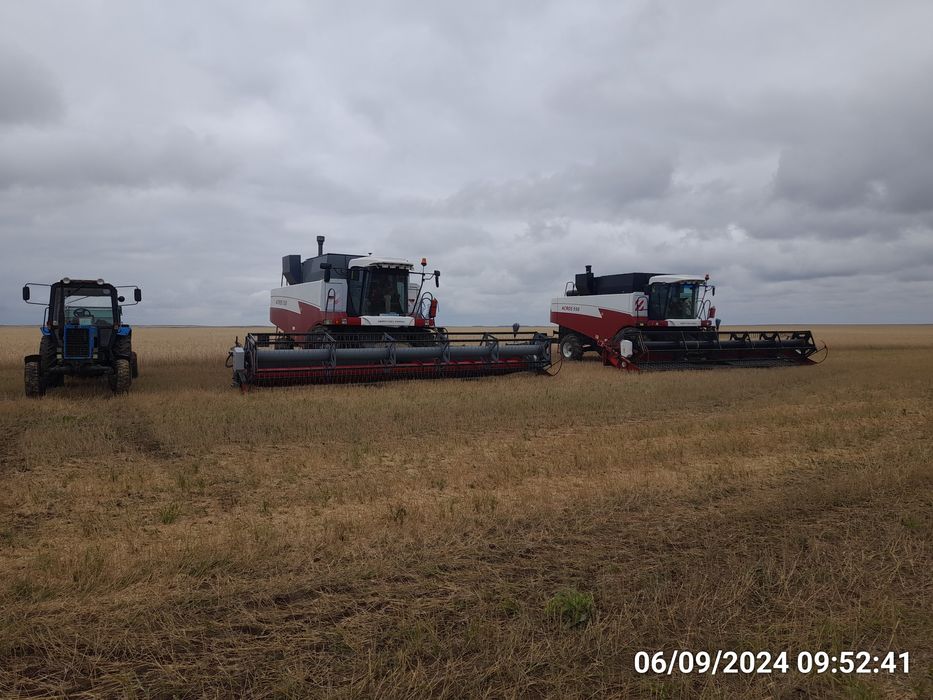 Продаётся действующее крестьянское хозяйство