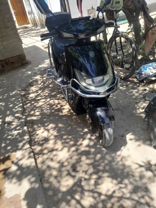 Xolati yaxshi aloo