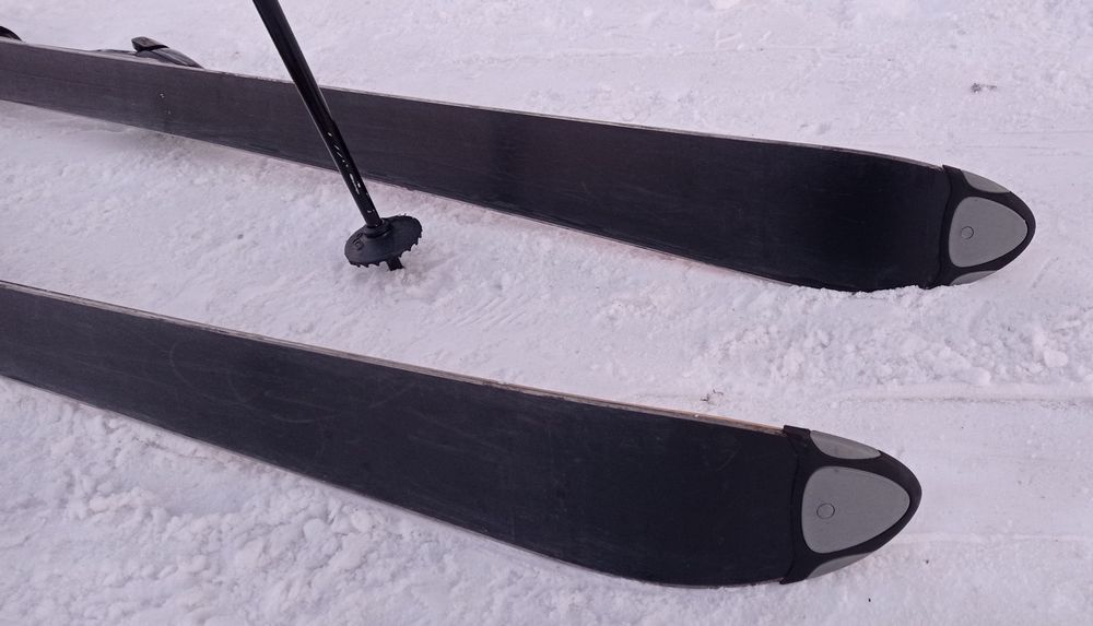 Schiuri ProCarve 30.2(incluse husă, bețe)