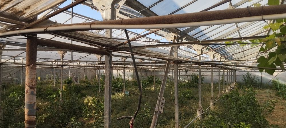 13sotixli (Teplitsa) Issiqxona sotiladi