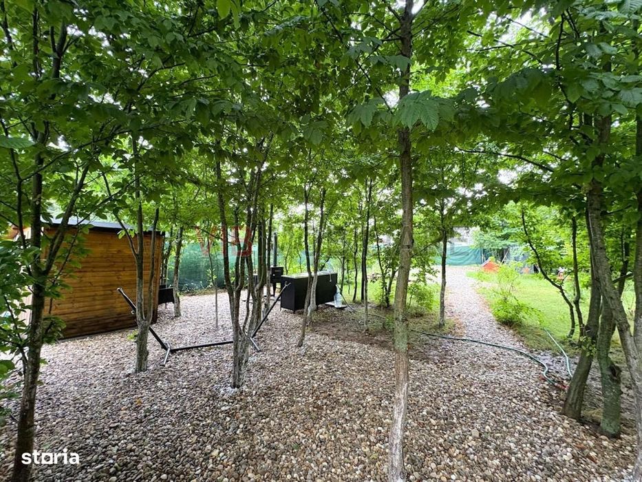 Teren cu vedere la padure – Snagov, Ghermanesti, Str. Razboieni,