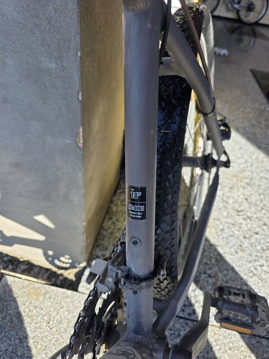 Bicicleta de teren