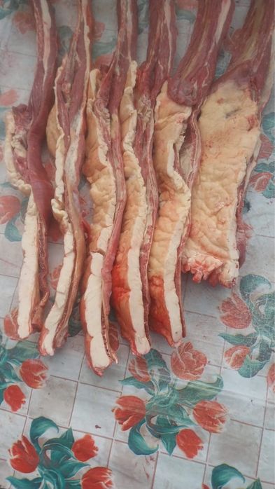 Соғым согым жылқы еті конина