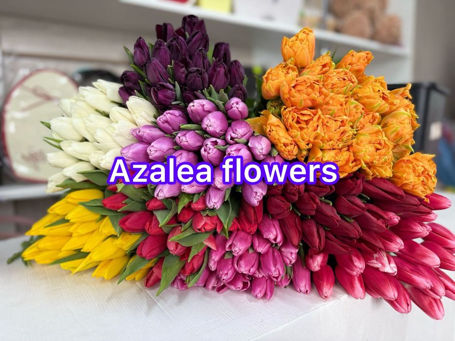 Тюльпаны опт розница цветы розы