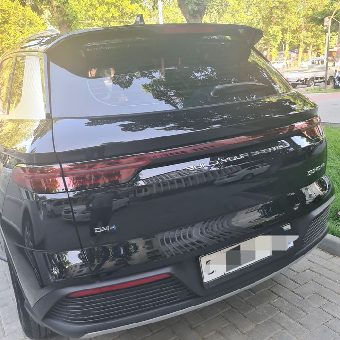 Byd song pro 2024