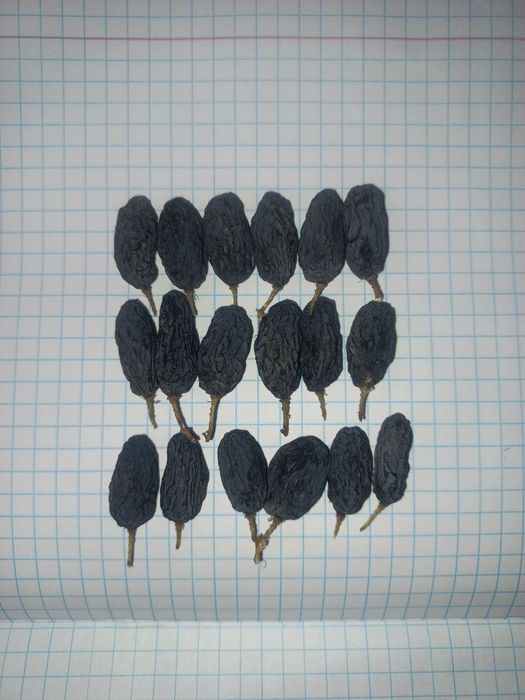 Mayiz Gegant Soyaki Kunaki kanditr har hil turdagi mayizlar katta abyo