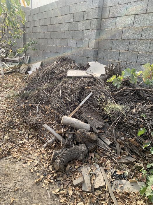 Дрова отын кара талдан шықты