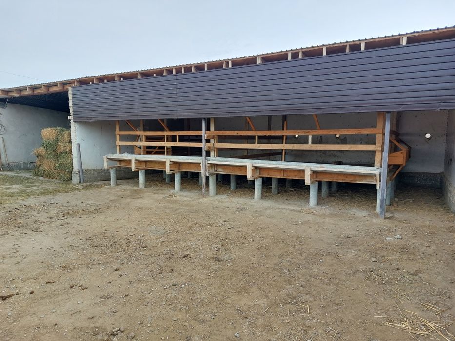 Фазенда (откорм) сатылады