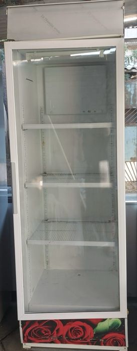 Холодильник Бирюсса
