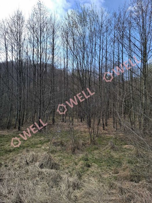 Teren de vânzare în Sovata – Strada Stâna de Vale