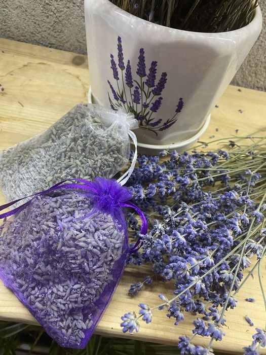 Лаванда САШЕ из собственного сада
