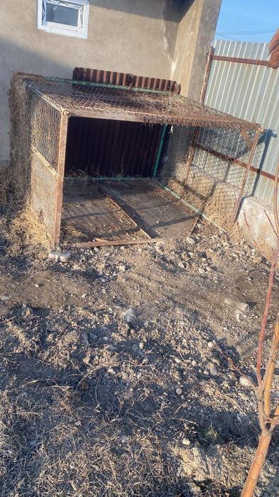 Ворьер универсальный