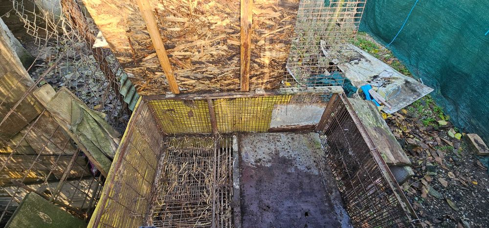 Cusca iepuri coteț iepuri din boxpalet