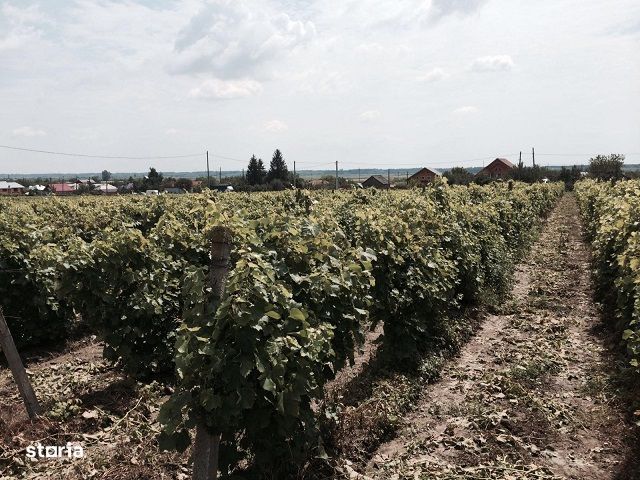 Teren 55000 mp Calinesti pretabil ansamblu rezidențial