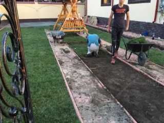 Gazon Rulou Sport premium