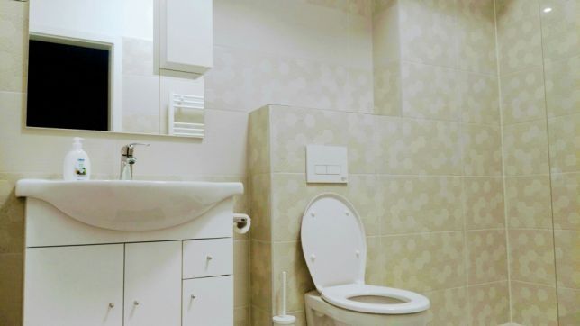 inchiriez  apartament cu 2  camere Green Vista  Pipera