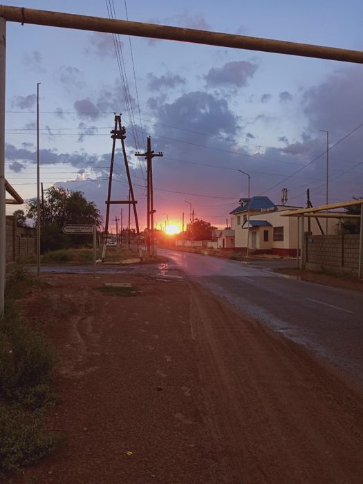 орро а 31 оргинал