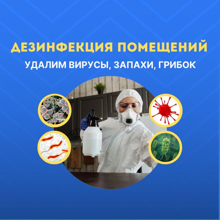 Дезинфекция помещений — удалим вирусы, запахи, грибок