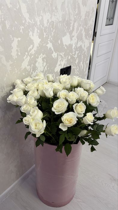 Свежий гул алып калыныздаар