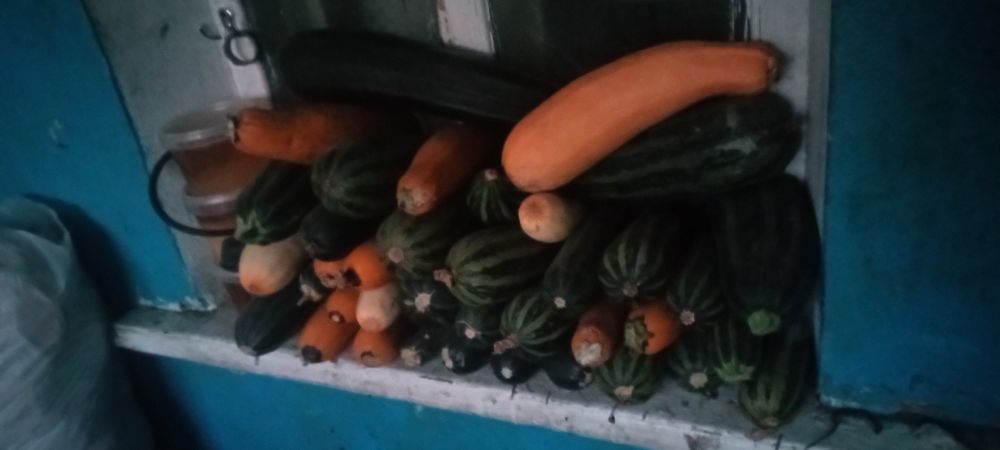Продаю кабочки по 100 за 1 кг доставка от 10 кг