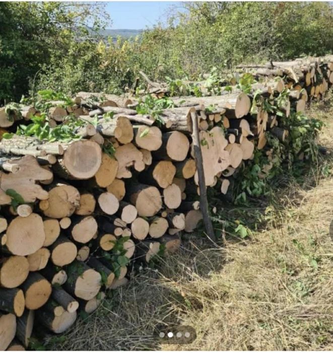 Vând lemn de esență tare