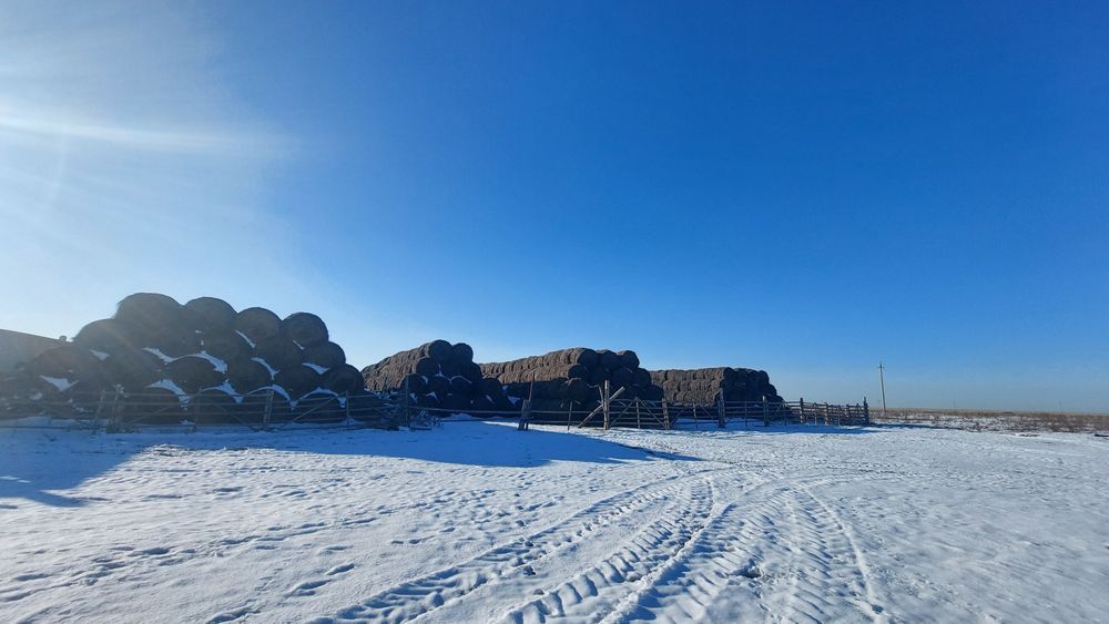 Продам сено тюковое