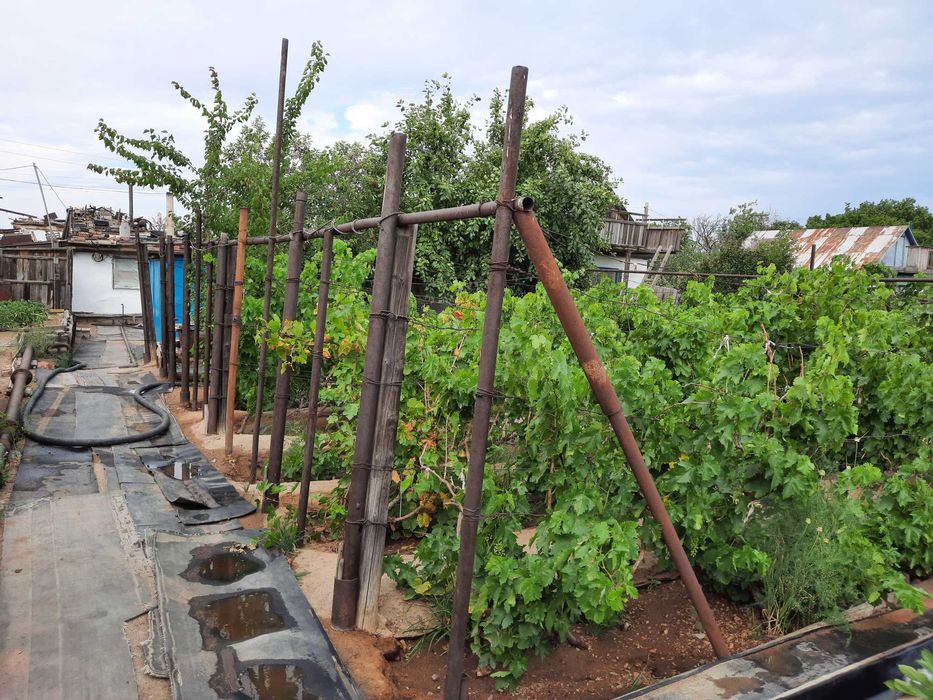 Продам дачу на 2-ой водоколонке