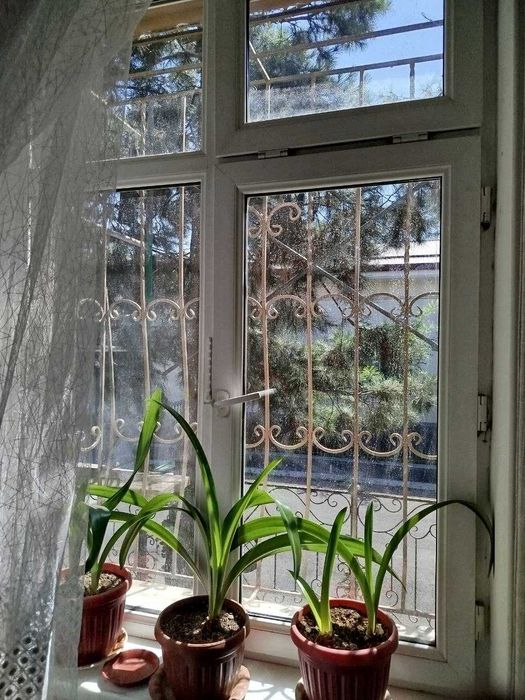 Продам пластиковые рамы б/у.