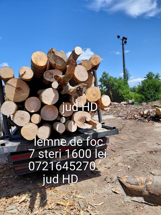 Lemne de foc de esenta tare fag,7 steri 1600 lei.0721645270