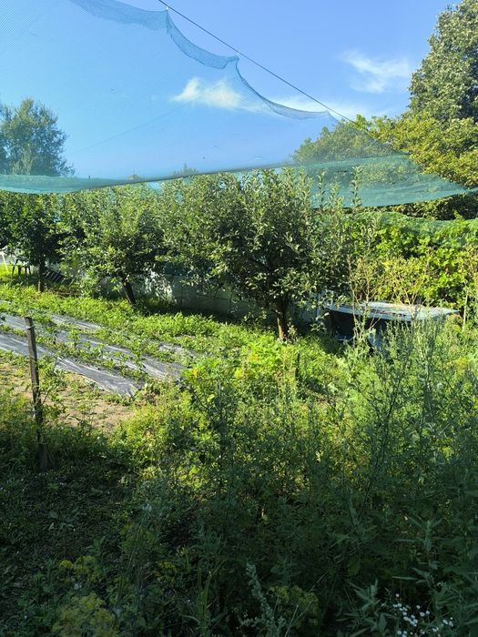 Продава се Парцел в с. Литаково, Област София-област - 770 кв.м за 39 €/кв.м - Снимка #5