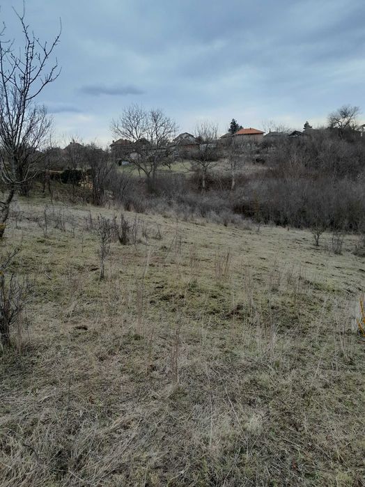 Парцел в регулация, кв.Кошарник, гр.Монтана