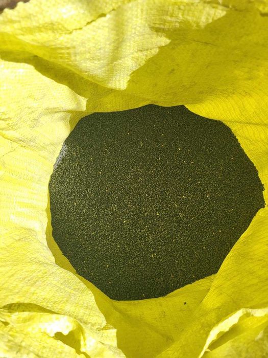 Продается семена лука сорт Банко и Свит. Пиёз уруги. Piyoz urug