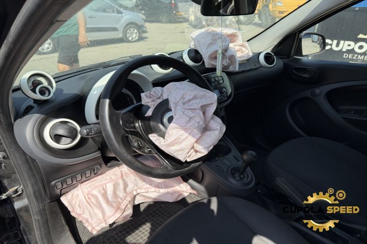 Usa Portiera spate stanga (defecte de la grindina) Smart Forfour 2 [2