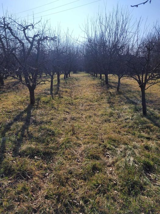 Teren intravilan cu suprafața de 6307 m² in Pucioasa