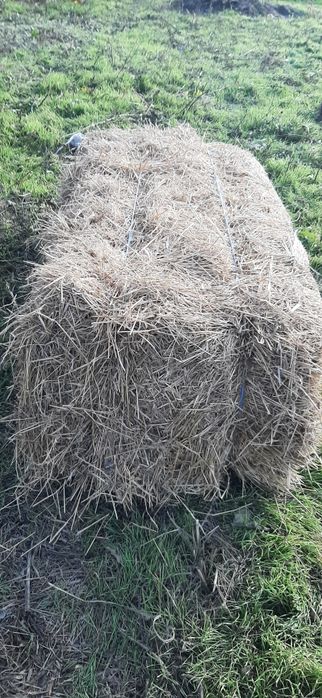 Vand baloti de fan foarte buni.