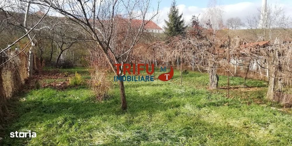Casă + Teren Cea mai râvnită locație!