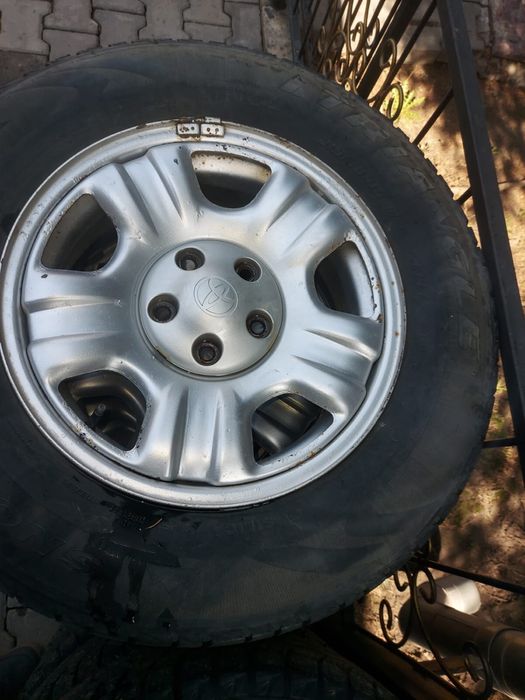 Продам диски с ризиной