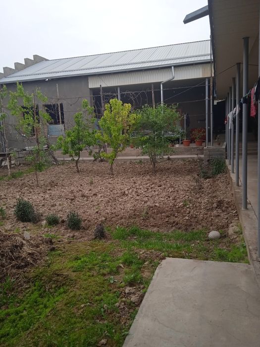 6 sutuqli uy sotiladi